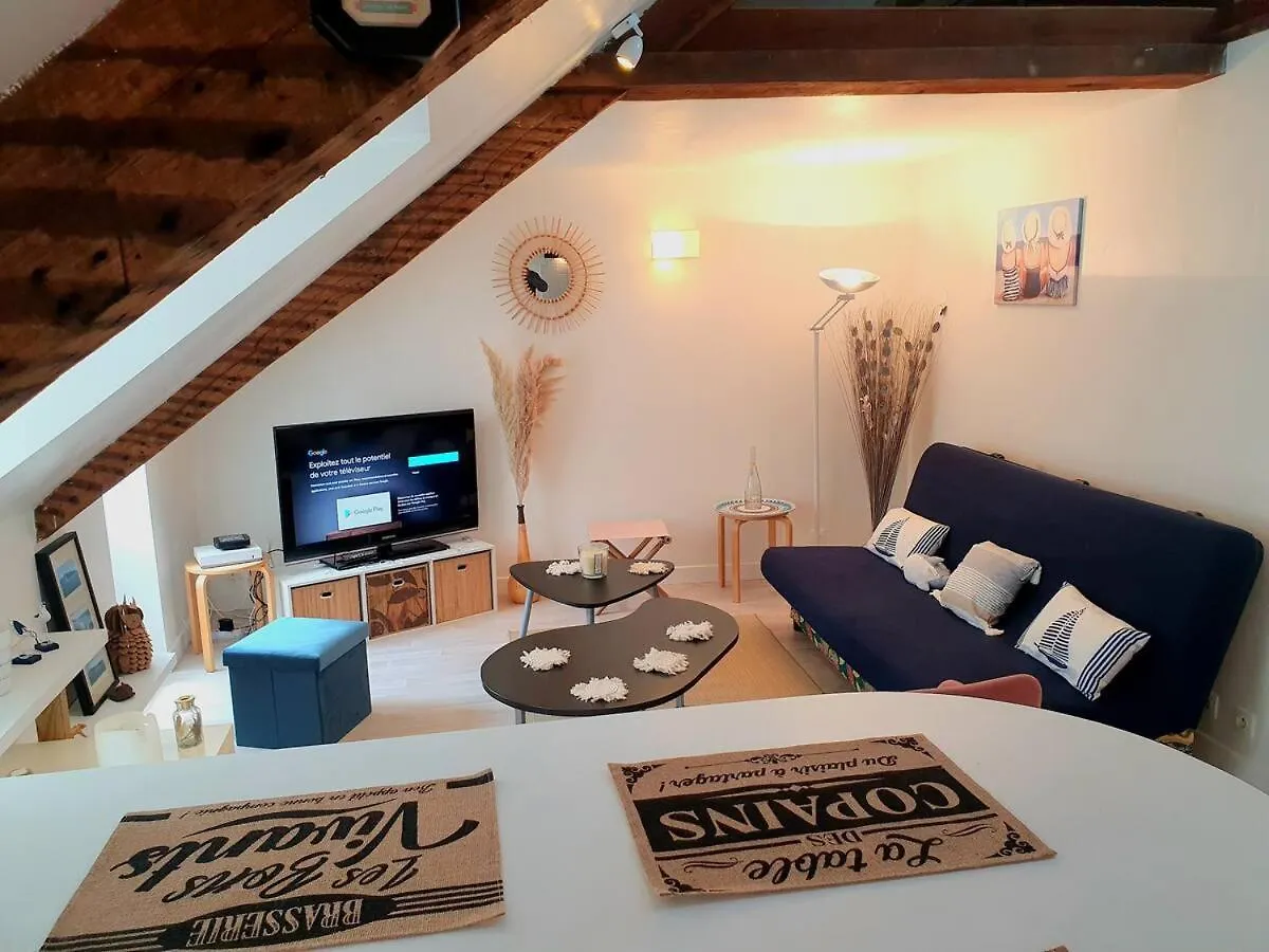 La Pirogue Apartment Saint-Brieuc